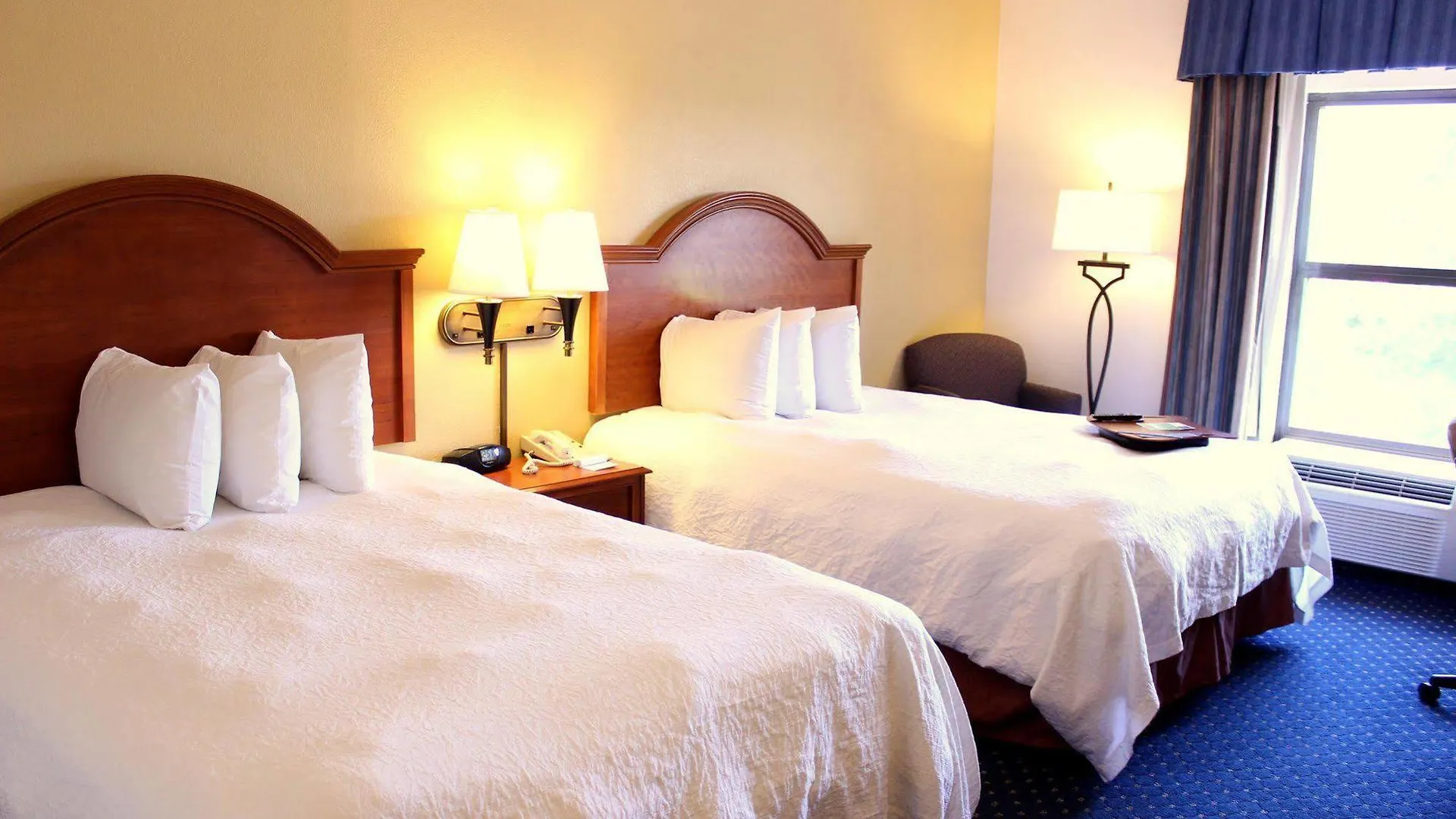 Hotel Hampton Inn & Suites Concord-Charlotte
