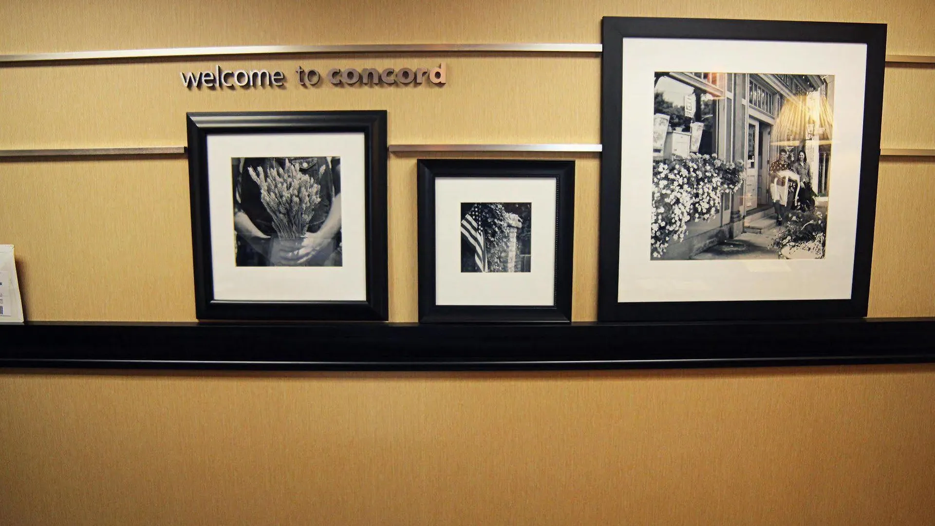 Hampton Inn & Suites Concord-Charlotte Hotel